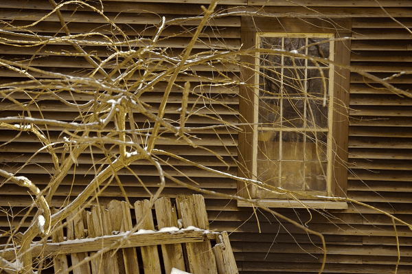 Wood siding is the Best Options