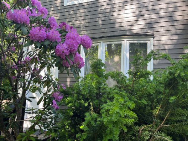 James Hardie Siding Installation in Night Gray