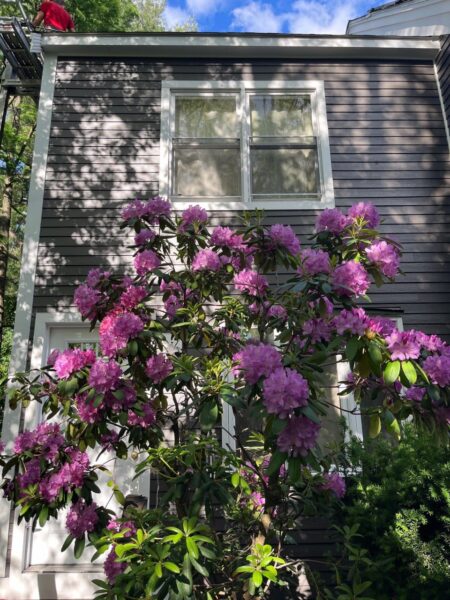 James Hardie Siding Installation in Night Gray