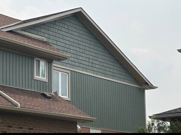 Moonlit Moss Vinyl Siding Renovation