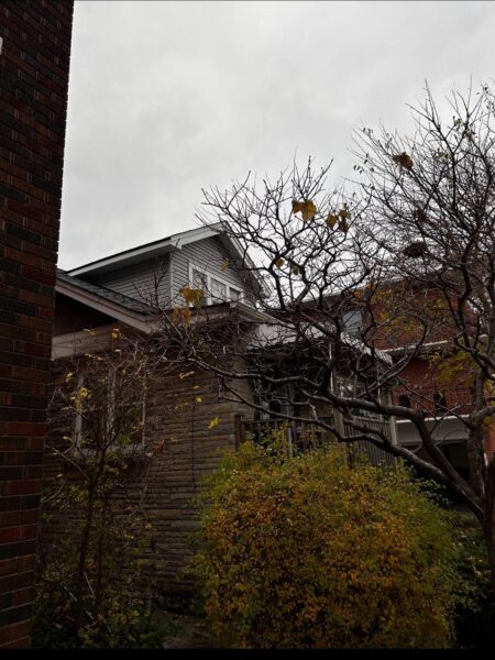 Completed residential siding replacement in London