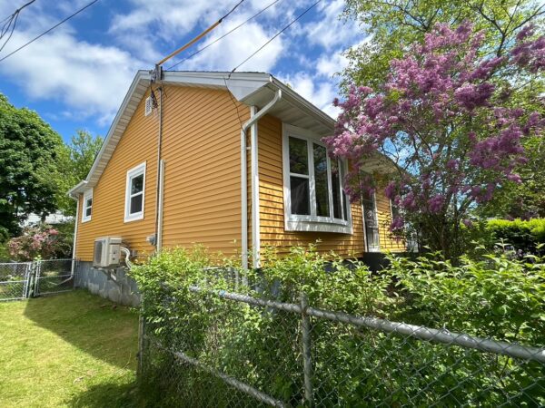 Verona Golden Honey Vinyl Installation